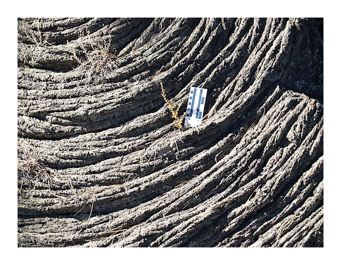 Zuni-Bandera Field and McCarty's Lava Flow Field | New Mexico
